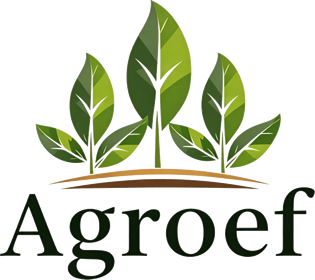 Agroef Services logo
